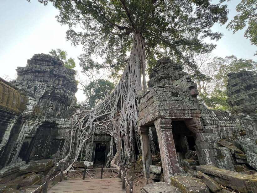 1-Day Angkor Wat Private Tour with Spanish Tour Guide. - Lunch at 1:00 PM, with food paid separately