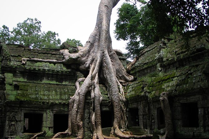 1-Day Angkor Wat Sunrise & All Interesting Temples Private Tour - Why this private Angkor day works well