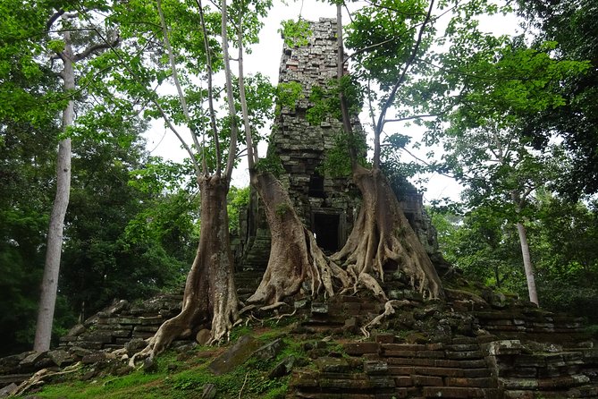 1-Day Angkor Wat Sunrise & All Interesting Temples Private Tour - Baphuon and the old royal center