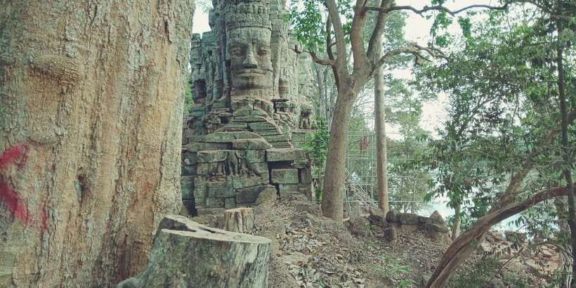1-Day private Angkor Temple Tour from Siem Reap - Guides, drivers, and the small comforts