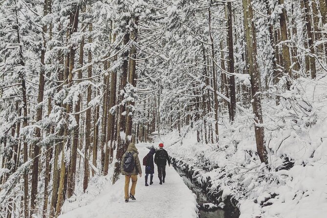 1-Day Snow Monkeys, Zenko-ji Temple & Sake in Nagano - Seeing the snow monkeys depends on nature, not a schedule