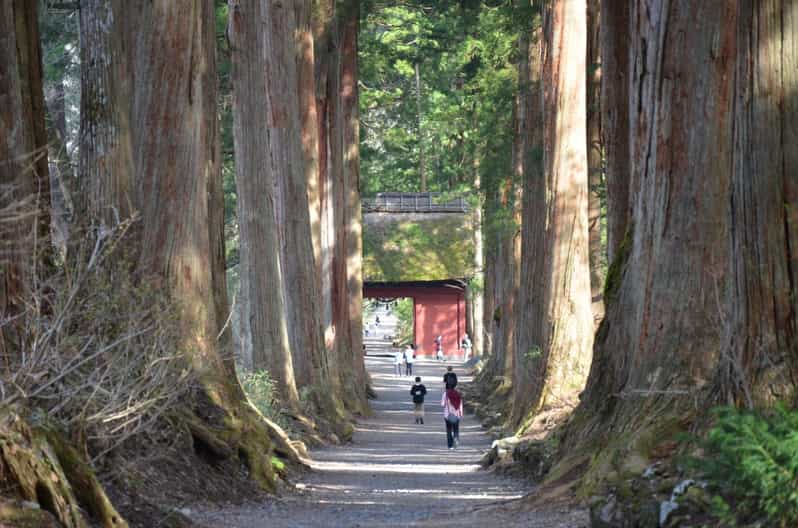 1-Day Togakushi: Soba making, Ninja Town and Hidden Shrines - Why Togakushi makes a fine day outside Nagano