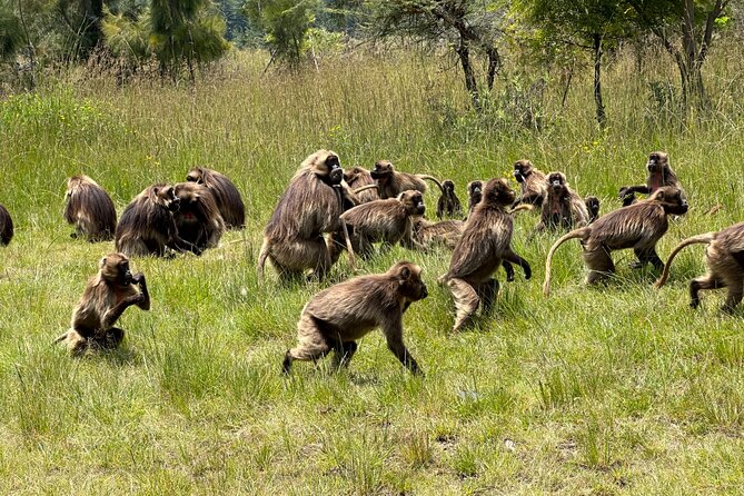 1-Day Tour Old bridge, Monastery,water falls Wildlife,Birds, - The cave, spring, and church visit