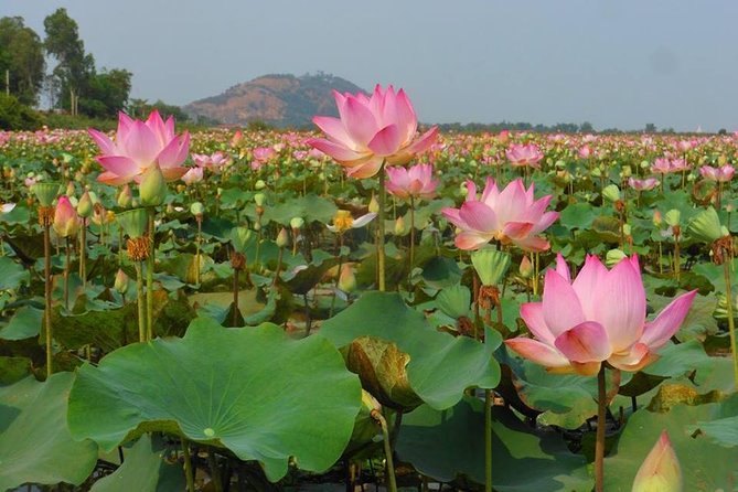 2-Day Angkor Wat Tour from Bangkok - Sunrise and the first look at Angkor Wat