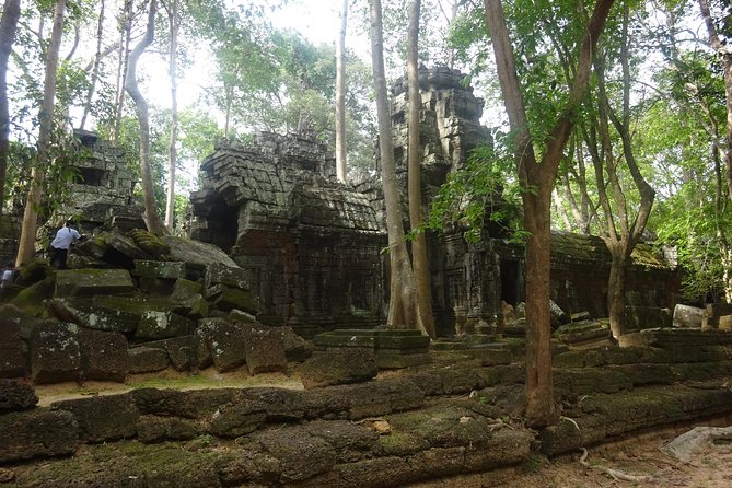 2-Day Angkor Wat With Small, Big Circuit and Banteay Srei Tour - Angkor Thom continues with Baphuon and royal terraces
