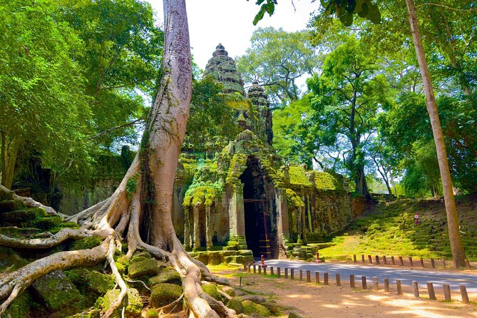 2 Days Exclusive Temple Highlights with Sunset and Sunrise Tour - Ta Prohm gives you the famous jungle setting