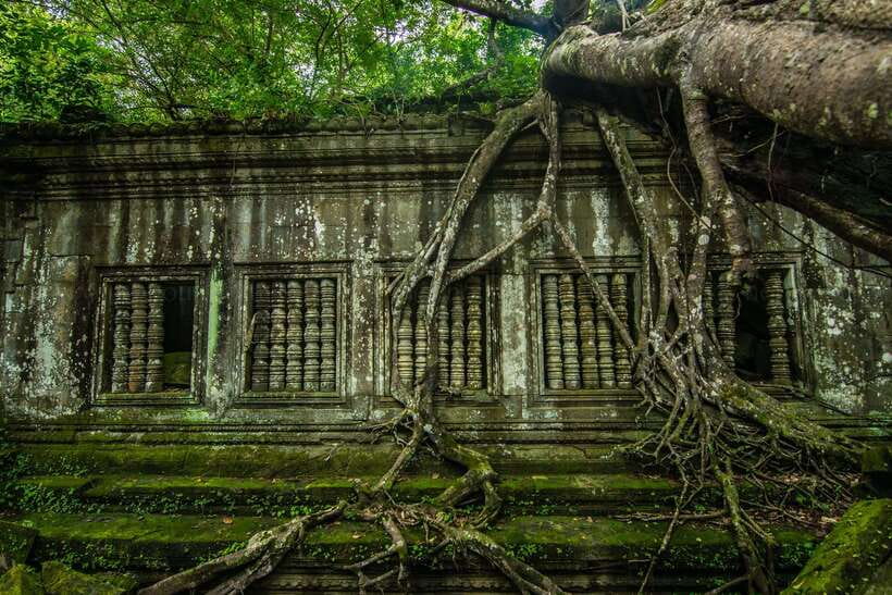 3-Day Angkor Wat & All Interesting Temples With Beng Mealea - Day two: sunrise, jungle temples, and Banteay Srei