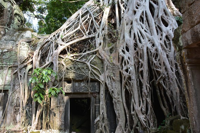 4 Days Expedition From Bangkok to Angkor Wat - Guides, drivers, and the private format