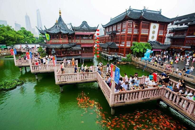4-Hour Shanghai Best Garden and Temple Tour with Tea Tasting - A seated tea tasting to finish the visit