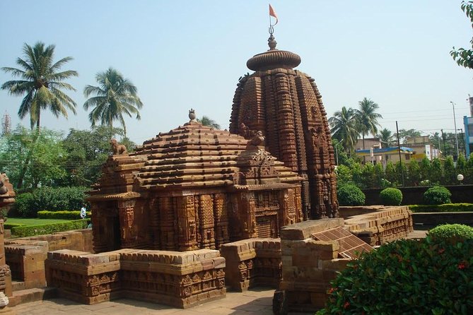 6-hour Temples tour of Bhubaneswar including hotel pick-up & drop-off - Lunch is the biggest detail to clarify
