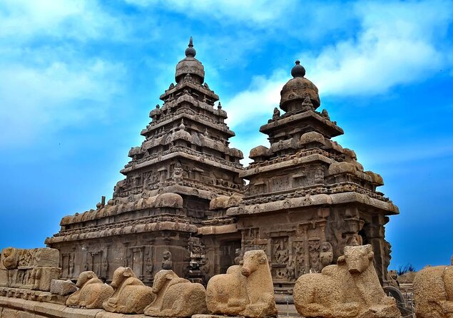 8 Days Private South India Temple Tour with 4 Star Luxury Hotels - Five things to know before booking