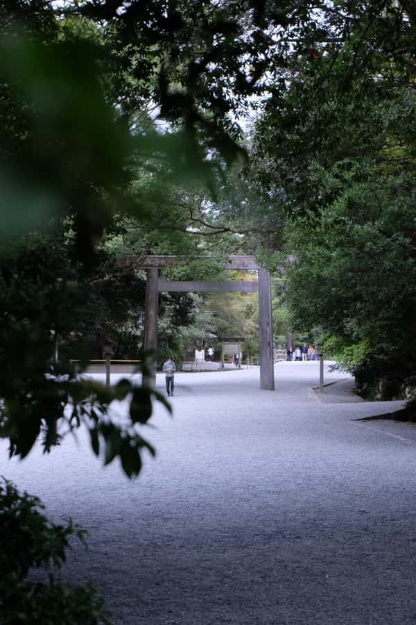 A trip to visit Ise Grand Shrine and experience Ama culture - Starting at Ise Jingu, Japan’s best-known shrine