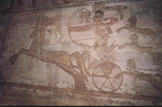 Abu Simbel Temples from Aswan - Who should book this Abu Simbel tour?