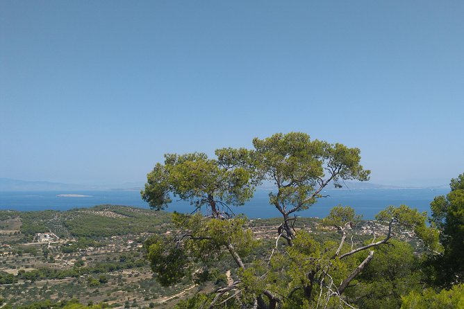 Aegina Island St Nektarios & Temple of Athina Aphaia Private Tour - A private setup that saves time
