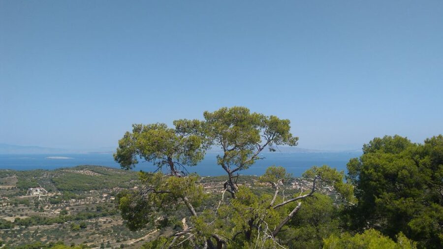 Aegina Island & Temple of Athina Aphaia Private Day Tour - Perdika, the fishing village built for lunch