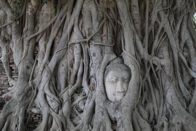 Afternoon Ayutthaya & Ancient Temples at UNESCO site By Road - Wat Mahathat and the central Ayutthaya story