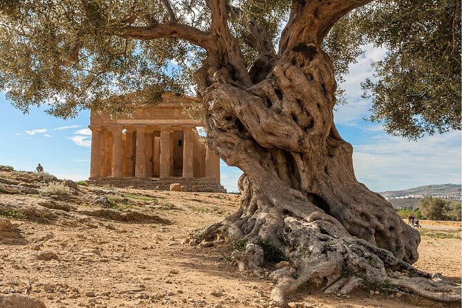Agrigento to Siracusa with Valley of Temples and Roman Villa Trip - Reaching the Province of Syracuse