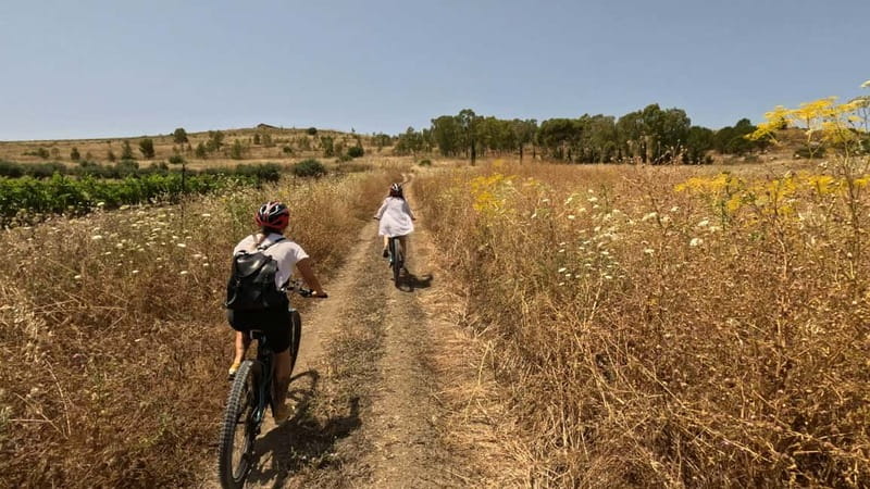 Agrigento: Valley of the Temples and Historical Center by E-Bike with Lunch Included - What the price includes, and what it does not