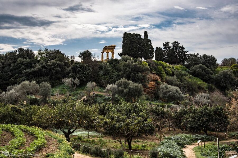 Agrigento Valley of the Temples and Kolymbethra Private Tour - The Temple of Concordia and Agrigento’s finest survivor