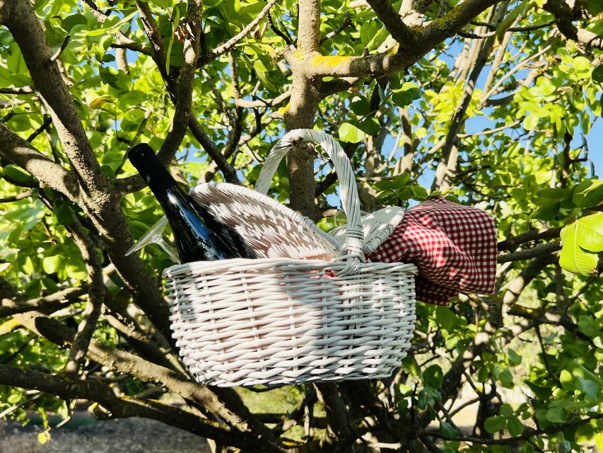 Agrigento: Valley of the Temples Gardens Picnic Experience - Five things worth knowing before you book
