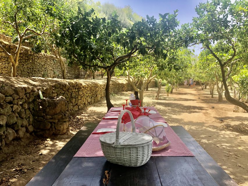 Agrigento: Valley of the Temples Gardens Picnic Experience - The hosting adds more than the food