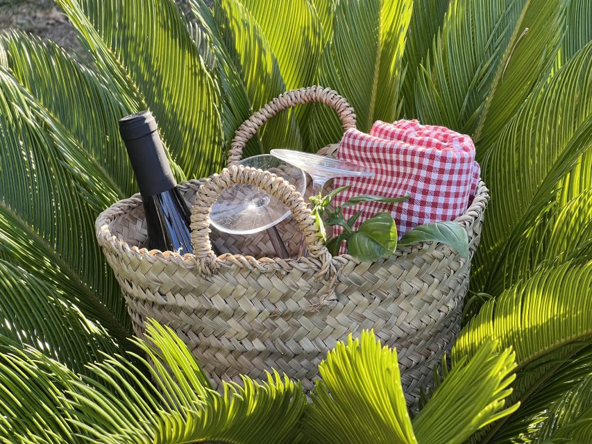 Agrigento: Valley of the Temples Gardens Picnic Experience - A closer look at the 90-minute schedule