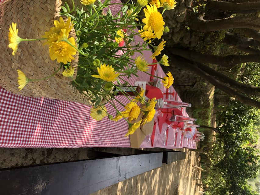 Agrigento: Valley of the Temples Gardens Picnic Experience - Is 55 euros per person a fair price?