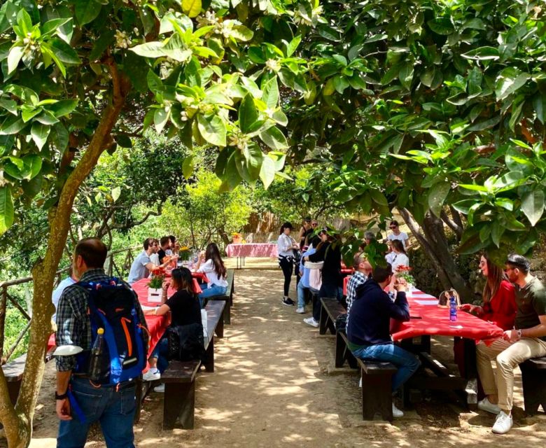 Agrigento: Valley of the Temples Gardens Picnic Experience - Who should choose this picnic?