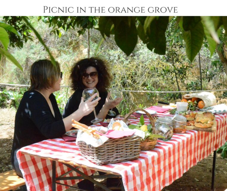 Agrigento: Valley of the Temples Gardens Picnic Experience - What makes this different from a normal temple tour?