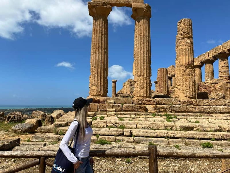 Agrigento: Valley of the Temples Premium Guided Tour - Who should book this two-hour visit?