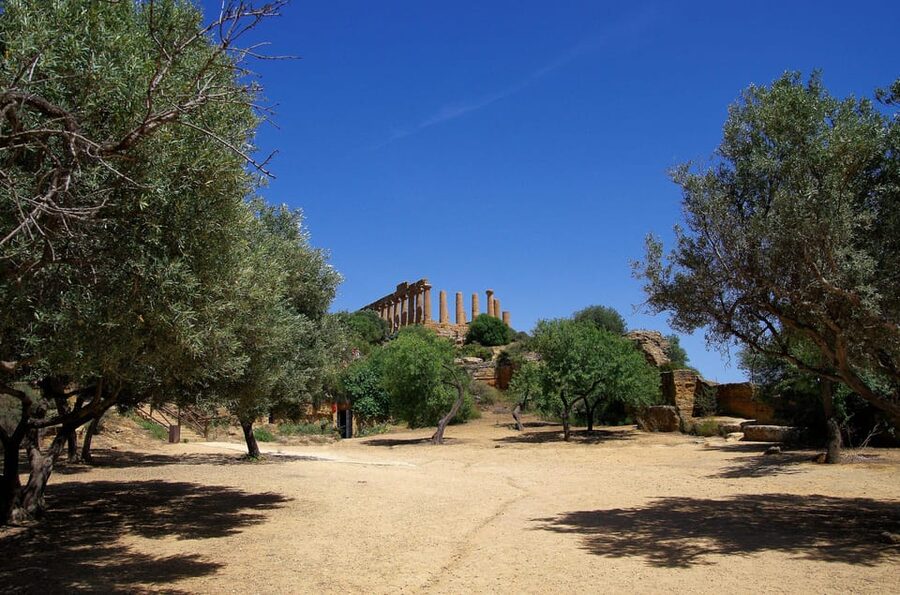 Agrigento: Valley of the Temples Private Archeological Tour - Temple of Olympian Zeus: fragments on a colossal scale