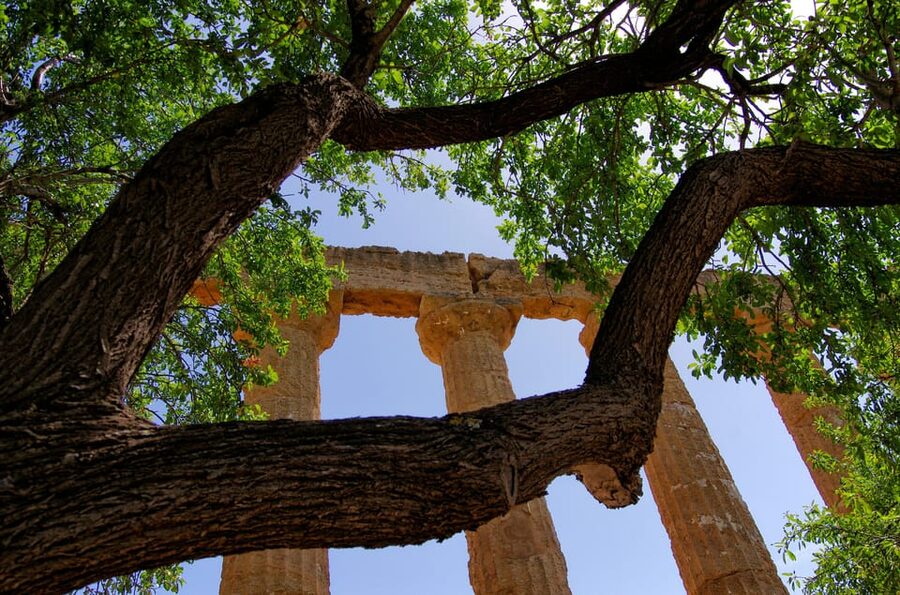 Agrigento: Valley of the Temples Private Archeological Tour - Is two hours enough?