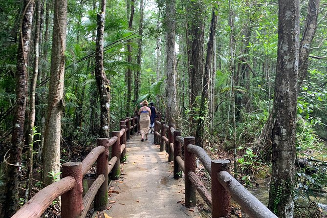 All day Krabi Jungle Tour (Hot Spring Water, Emerald Pool, Tiger Cave Temple) - What this Krabi jungle day is really like