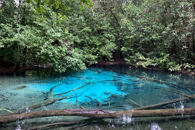 All day Krabi Jungle Tour (Hot Spring Water, Emerald Pool, Tiger Cave Temple) - Guides, vehicles, and the pace of the day