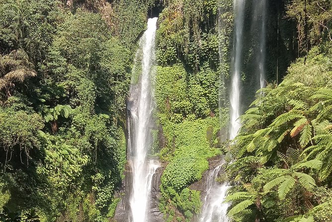 All Inclusive Sekumpul Waterfall Trekking , Handara Gate & Temple - Service, privacy, and the pace of the day
