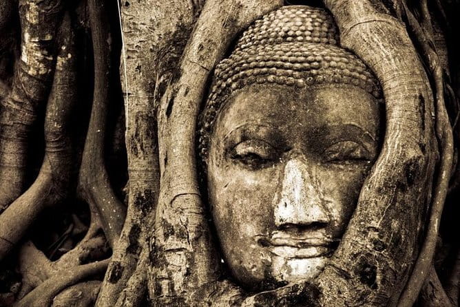 Ancient City & Temples of Ayutthaya ( UNESCO ) by River Cruise with Buffet Lunch - Wat Mahathat and the tree-root Buddha