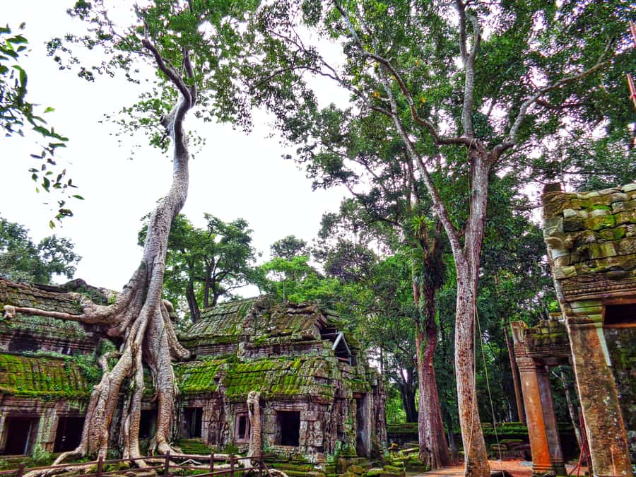 Angkor Region: 3-day Private Tour of Top Temples - How the private format changes the experience