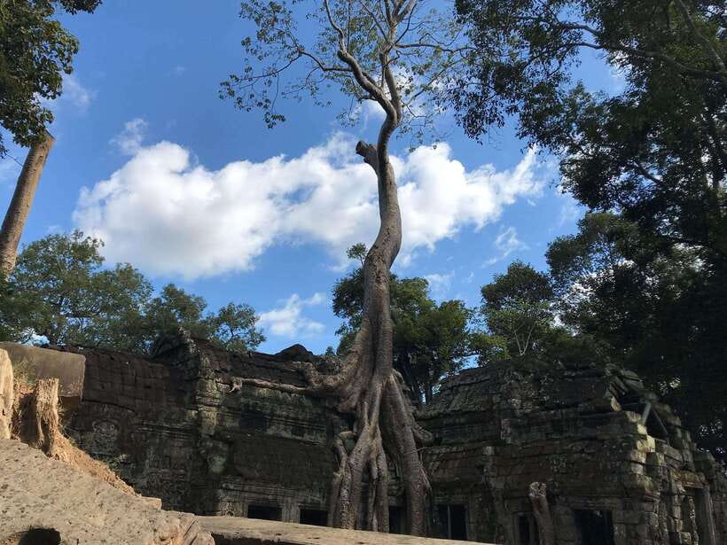Angkor Temples Highlights Tour: 2 Days with Sunrise - Guides, vehicles, and the value of a private pace
