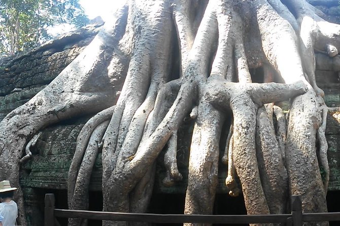 Angkor Wat 3-Day Tour from Bangkok - Preah Khan and Ta Prohm