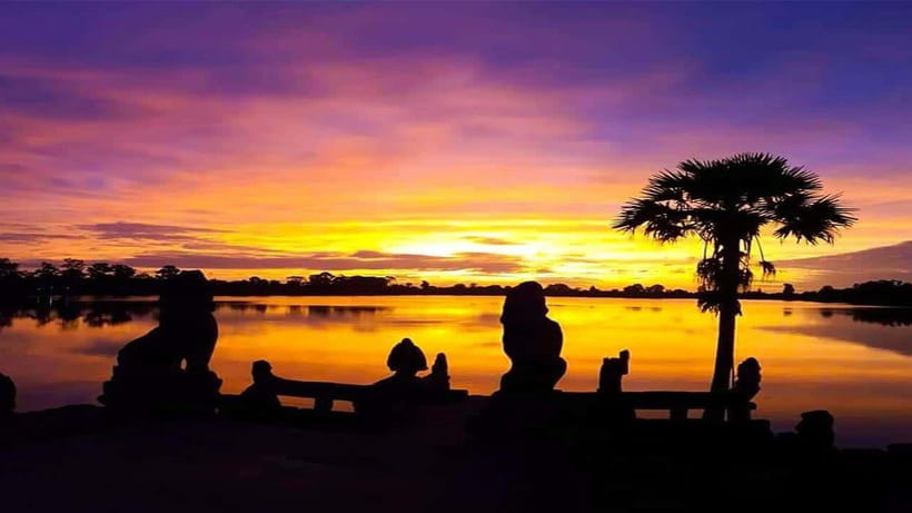 Angkor Wat Guided Sunrise Tour - Ta Prohm and the famous tree roots