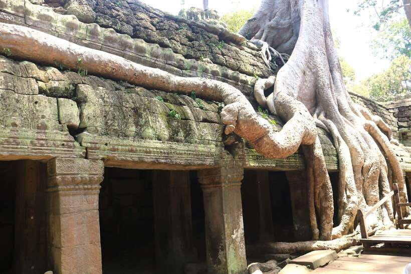Angkor Wat: Highlights and Sunrise Guided Tour - The pace, group setting, and comfort level