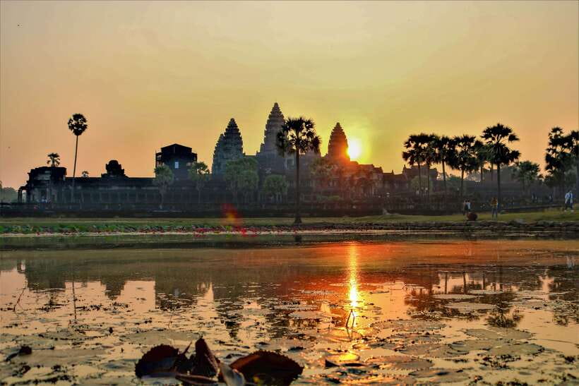Angkor Wat: Highlights and Sunrise Guided Tour - Ta Prohm and the power of the trees