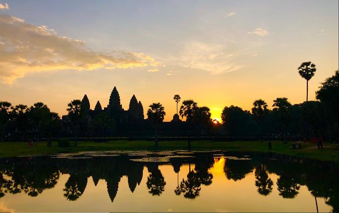 Angkor Wat Highlights and Sunrise Guided Tour from Siem Reap - Ta Prohm, where the jungle takes over