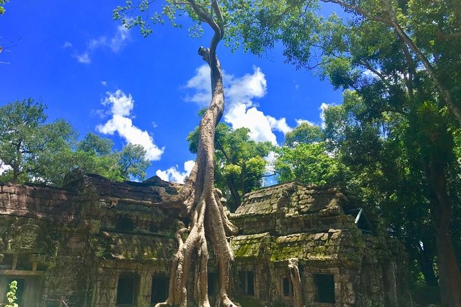 Angkor Wat one Day Private Tour for All Highlight Angkor Temples - The Terraces of the Elephants and Leper King