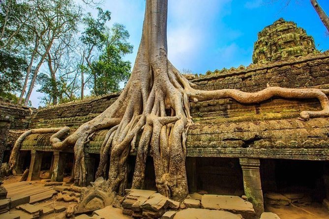 Angkor Wat one Day Private Tour for All Highlight Angkor Temples - Ta Nei offers a quieter change of pace