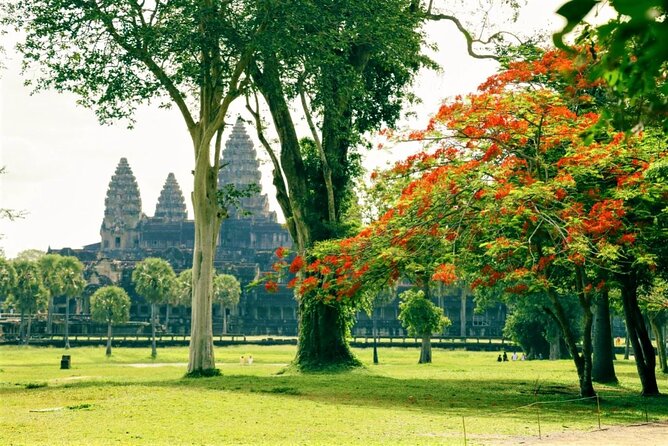Angkor Wat one Day Private Tour for All Highlight Angkor Temples - Ta Prohm and the power of the trees