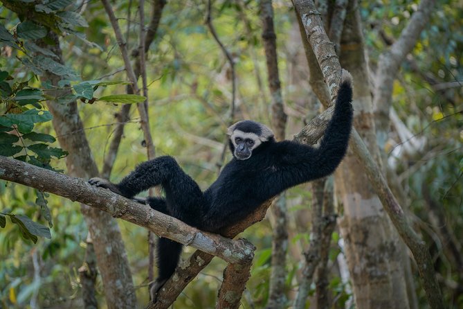 Angkor Wat Park Zip Line Adventure in Siem Reap - How the three-hour schedule fits a temple day