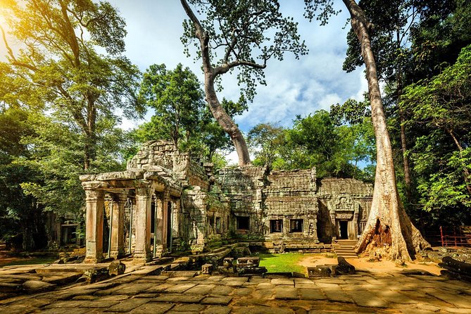 Angkor Wat Private Day Tour from Siem Reap - Ta Prohm, where trees press through the ruins