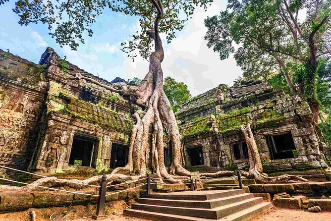 Angkor Wat Private Day Tour from Siem Reap - The guide and driver make the difference