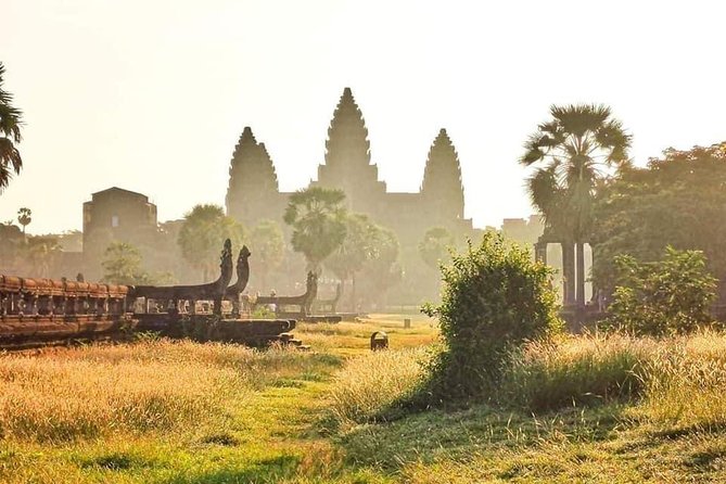 Angkor Wat Small-Group Exploration with Expert Guide - Ta Prohm and the Famous Tree Roots